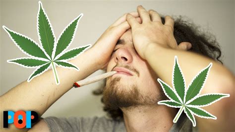 how much do potheads smoke a day|Experts Explain What Happens In Your Body If You .